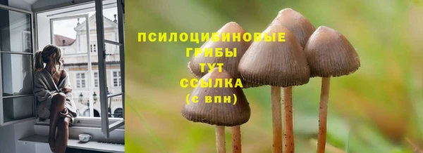 стафф Алексеевка
