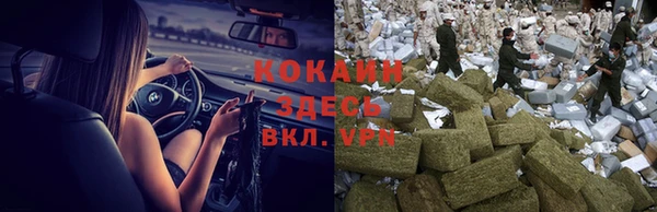 apvp Алзамай